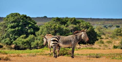 Overberg Chalet De Ski | De Hoop Collection Suites