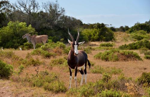 Overberg Chalet De Ski | De Hoop Collection Suites