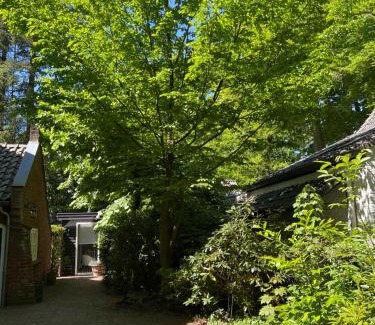 Vught Lit Et Petit-Déjeuner | de Merel
