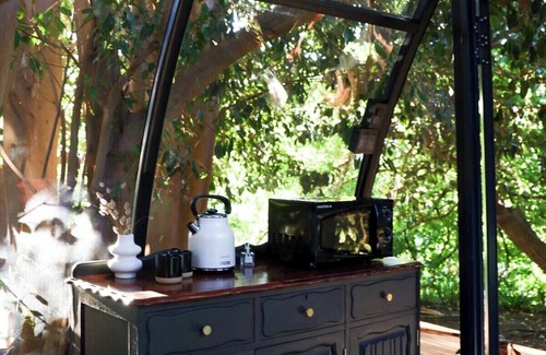 Montagu Appartement | De Nest - Clear glass Tree cabin in Montagu
