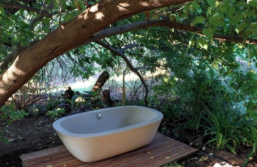 Montagu Appartement | De Nest - Clear glass Tree cabin in Montagu