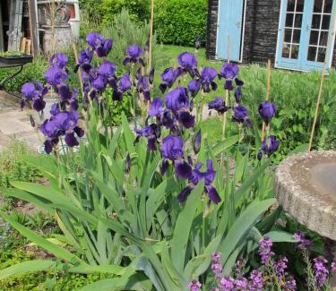 Boven-Leeuwen Lit Et Petit-Déjeuner | De Slaapmus