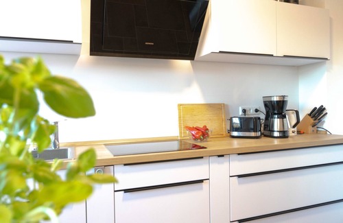 Schmiedefeld am Rennsteig Appartement | Pure relaxation in the idyllic Heimig forest