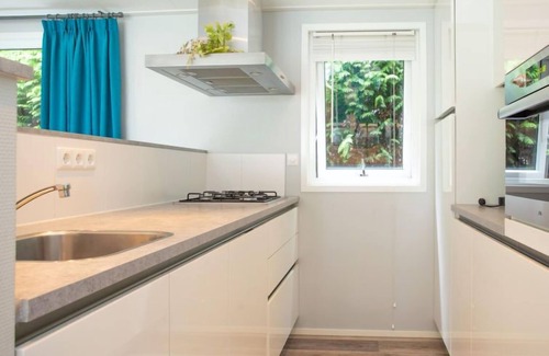 Municipality of Rhenen Maison | De Thijmse Berg by Interhome
