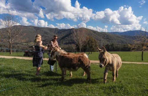 Bright Maison | Deep Creek Farmstay