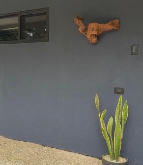 Cabuya Appartement | Deer Houses Cabuya