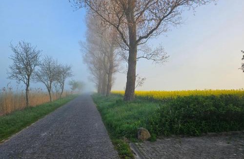Horum Appartement | Deichblick