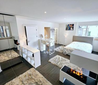 Walchwil Appartement | Dein Traum direkt am See