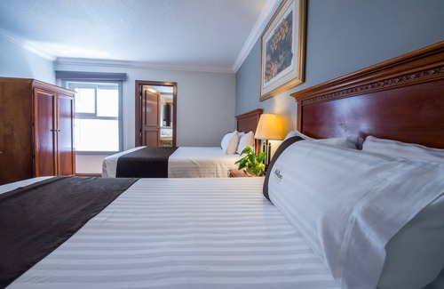 Zona Minerva Hôtel | Del Marqués Hotel and Suites
