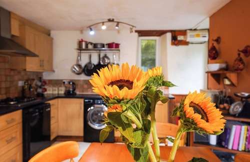 Glandyfi Maison | DELFRYN, GOGINAN, pet friendly, with a garden in Aberystwyth