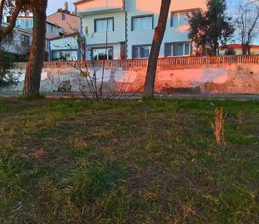 Gerze Maison | Denize Sıfır Bahçeli Yalı