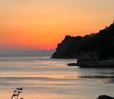 Marmara Hôtel | Denizevi Karvunyi