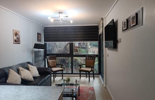 Valdivia Appartement | Departamento 57m2 Costanera Valdivia, Parking Privado Bodega