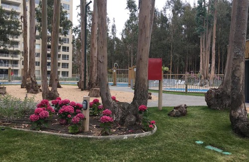 Mirasol Appartement | Departamento Algarrobo Los Olivos