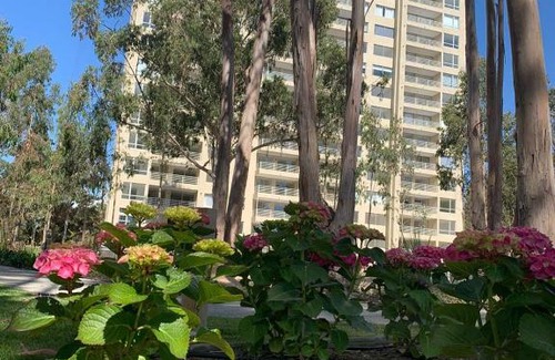 Mirasol Appartement | Departamento Algarrobo Los Olivos