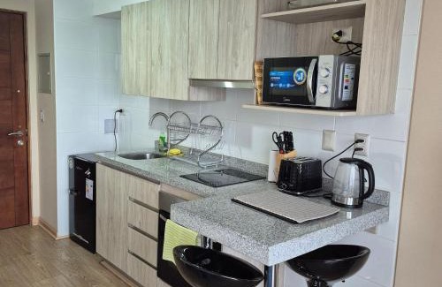 Osorno Appartement | Departamento Central Osorno 2