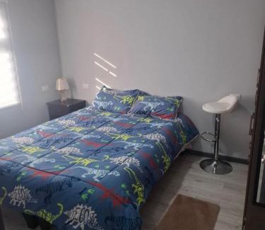 Valdivia Appartement | Departamento centrico