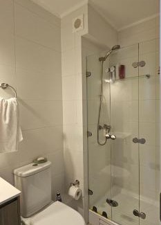 Pitrufquen Appartement | Departamento Centro Plaza 403
