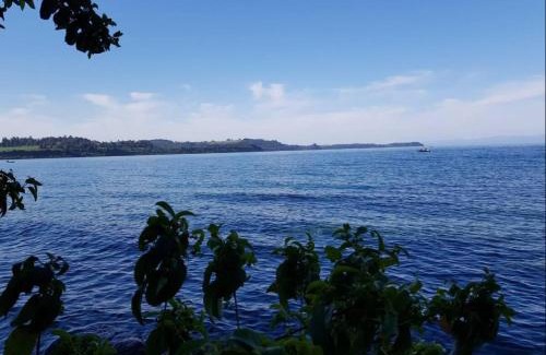 Llanquihue Appartement | Departamento frente al lago