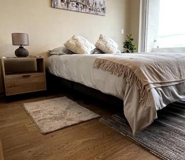 Osorno Appartement | Departamento Mono - Ambiente