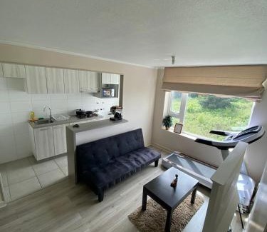 Osorno Appartement | Departamento Osorno Oriente