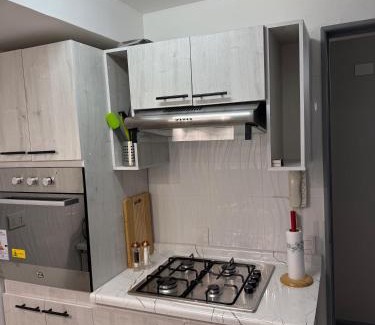 Rio Bueno Appartement | Departamento Plaza Río Bueno