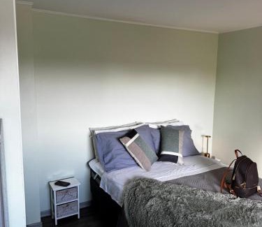 Osorno Appartement | Departamento Studio 104 Full