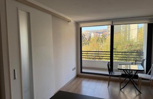 Vina del Mar Appartement | Departamento Viña del Mar