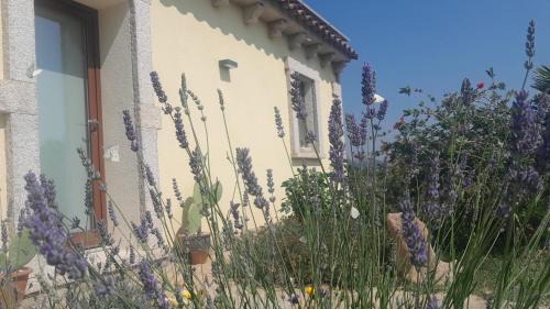 Arzachena Appartement | Dependance Pavoncella