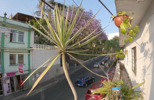 Xalapa Appartement | Depto CENTRO Parque Juarez