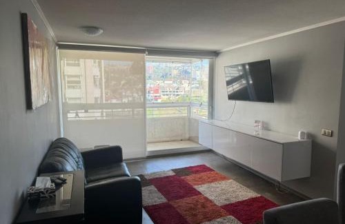 Vina del Mar Appartement | Depto Centro Viña