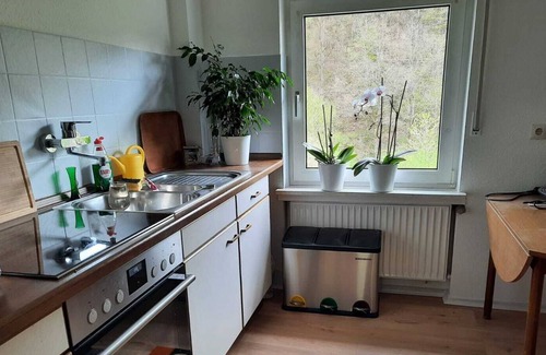 Freudenberg Appartement | " der Englische Garten "