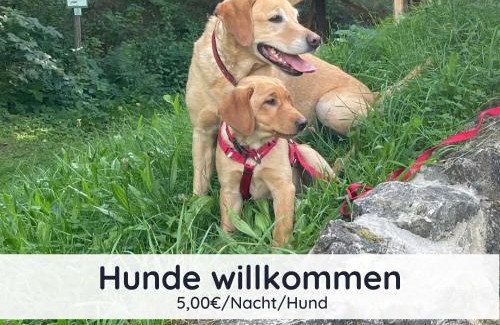 Steina Maison | Der Fuchsbau - 3 separate Blockhäuser - ruhige Lage - 50m bis zum Wald - eingezäunter Garten