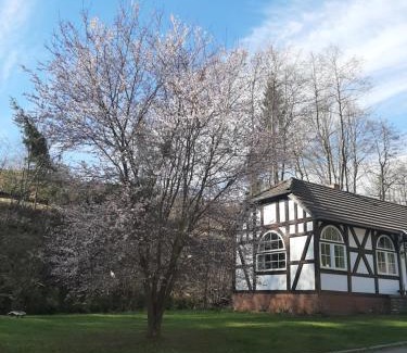 Harzgerode Appartement | Der perfekte Ausgangspunkt