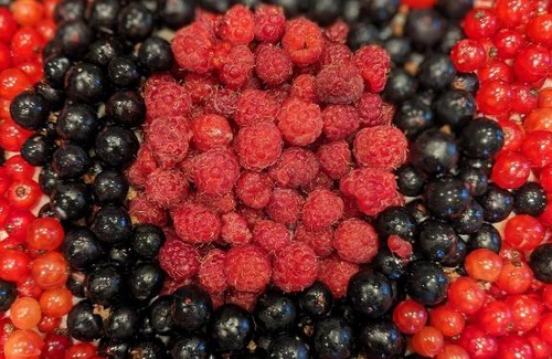 Pierre-Percee Lit Et Petit-Déjeuner | Des sapins aux étoiles