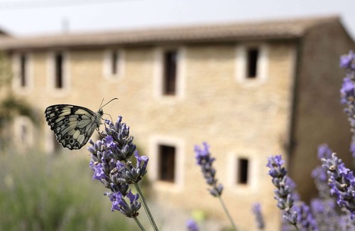 Ribouisse Cottage | Gîte Jasmin