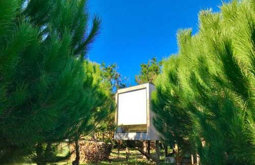 Gafanha do Carmo Maison | Desertas Beach and Sport