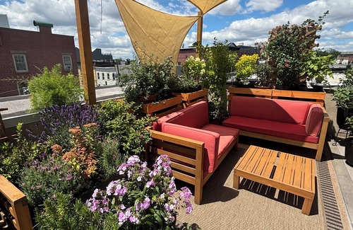 Historic Downtown Appartement | Designer Loft with Private Terrace