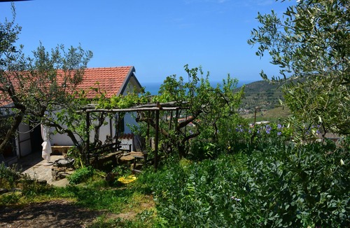 Castellabate Cottage | Maison indépendante à Monte Tresino