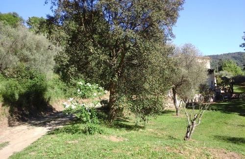 Collobrieres Villa | Villa au calme dans la campagne provençale entre Hyères et St Tropez