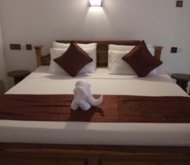 Udawalawa Appartement | Dew Safari Cottage