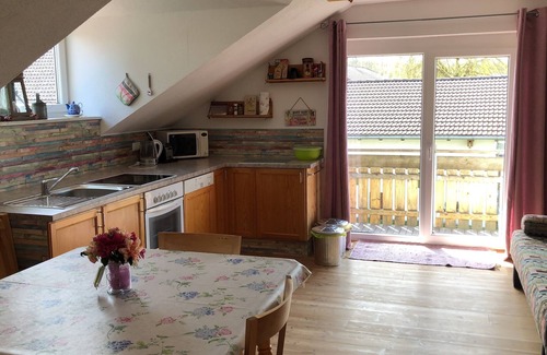 Sulzberg Appartement | Dexterzucht Allgäu, Rundflüge, Kutschfahrten, Großzügige Ferienwohnung