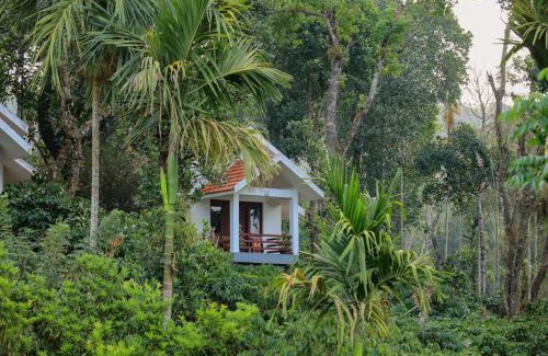 Vayittiri Maison | Dhanagiri Homestay Wayanad
