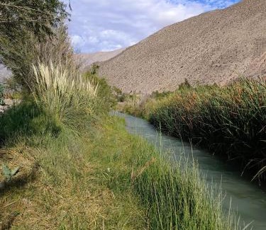 Vicuna Maison | DIAGUITAS, VICUÑA, VALLE DEL ELQUI