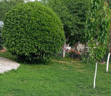Chrysokastro Appartement | DIANA'S HOUSE