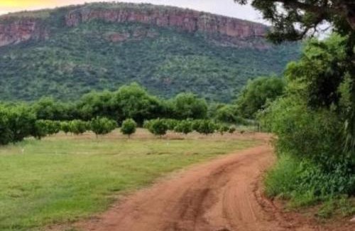 Lydenburg Maison | Die Boom Guest Farm