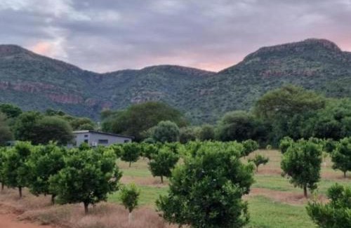 Lydenburg Maison | Die Boom Guest Farm