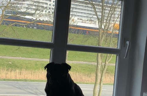 Jemgum Appartement | Die Seele baumeln lassen in Ostfriesland/ Nordsee