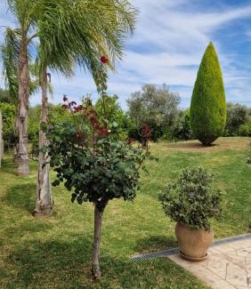 Aigialeia Maison | Dimitris Villa