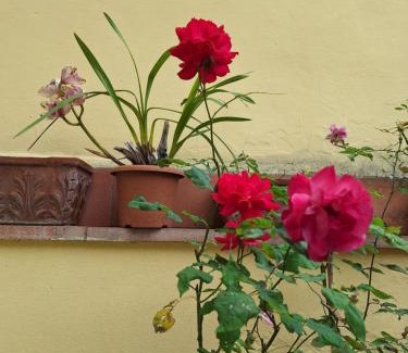 Isolotto Maison | Dimora Del Magnifico
